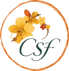 Cassia Fashion